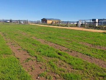 Parcela en venta en Oportunidad Parcela Ortega 5.000 M con Rol Propio - Marchigüe