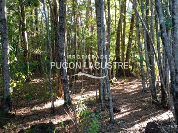 Terreno en venta en Parcela a minutos del lago Caburgua (171361), Pucón