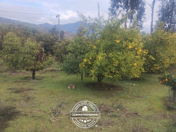 Parcela en venta en Miraflores, Curacaví - 4 dormitorios, 2 baños