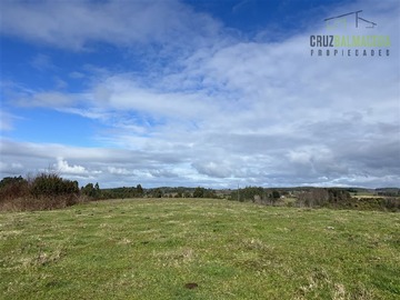 Terreno Agricola en venta en Campo subdividido a 10 minutos de La Union y 10 minutos de ruta 5 sur., La Unión