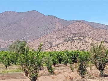Terreno Agricola en venta en Sector Challaco, Curacaví - 3 dormitorios, 3 baños