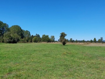 Venta / Parcela / Freire