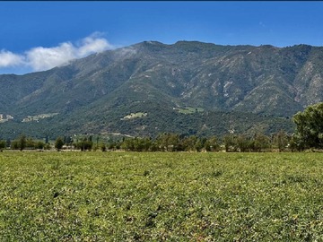 Terreno en venta en Santa Cruz, El Cóndor, Santa Cruz