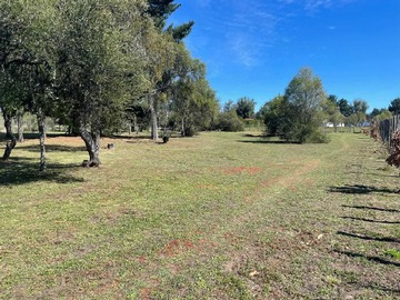 Terreno en venta en Yungay excelente parcela con casa amoblada (126702), Yungay - 6 dormitorios, 2 baños