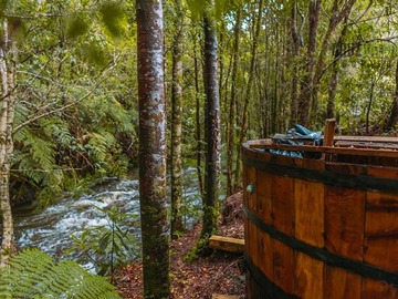 Parcela en venta en Alerces de camahueto, Puerto Varas