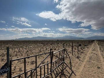Parcela en venta en Terreno 1ha en Sector la Higuera en Punta de Choros