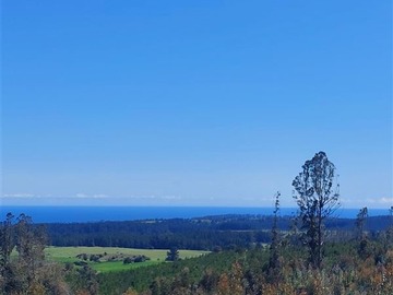 Venta / Parcela / Pichilemu