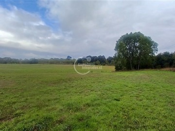 Terreno Industrial en venta en Ruta 199 Freire - Villarrica, Freire - 4 baños