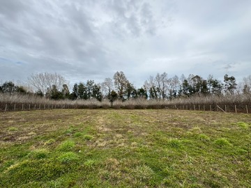 Parcela en venta en Villarrica, Villarrica