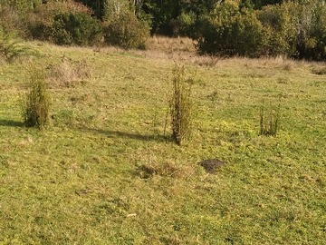 Terreno Agricola en venta en Excelente Oportunidad de Inversión en Chiloé