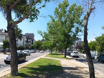 Local Comercial en venta en Campos de Deportes Castillo Velasco, Ñuñoa - 3 dormitorios, 2 baños
