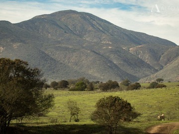 Sitio en venta en Ruta f 30 - e altura 12000 zona en mantagua, Quintero