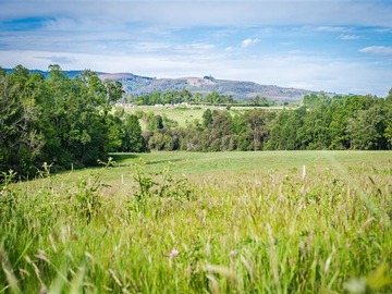 Parcela en venta en Parcelación Agricola Los Cipreses (Etapa 2) 5. 000 m2, Paillaco, Futrono, Valdivia, Paillaco