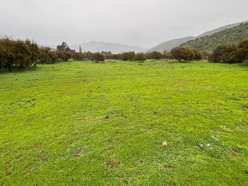 Parcela en venta en Miraflores, Curacaví
