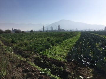 Terreno en venta en Terreno a la Venta en Sector Ohiggins Ignacio Carrera, Lampa.