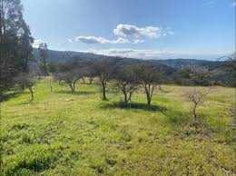 Terreno en venta en Parcelas en venta con agua luz , Algarrobo (74772), Algarrobo