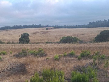 Terreno en venta en Espacio con Potencial y Excelente Acceso (153401), Pichilemu