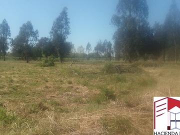Parcela en venta en camino negro, Linares