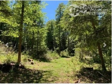Parcela en venta en Valle Escondido, sector Las Peinetas, Curarrehue, La Araucanía, Chile., Curarrehue