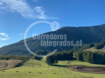 Parcela en venta en Condominio Termal El Mañio, Pucón