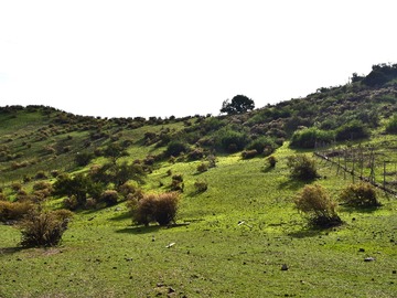 Terreno en venta en Terreno, Carpay, Alvaro Casanova, La Reina (173094), La Reina