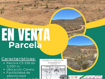 Parcela en venta en https://maps.apple.com/place?address=Ruta%20D-71,%20Canela,%20Chile&coordinate=-31.408013,-71.497803&name=Ruta%20D-71&map=explore, Canela