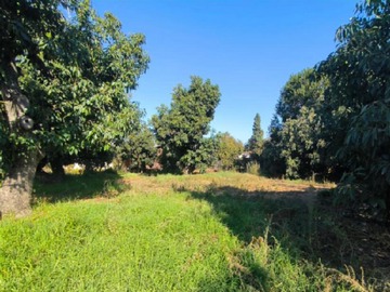 Casa en venta en Casa de Un Piso en Limache Viejo, Amplio Terreno de 2.646 M2. - 3 dormitorios, 2 baños