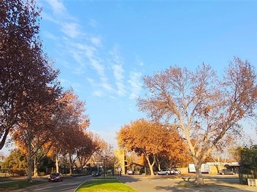 Venta / Sitio / Colina
