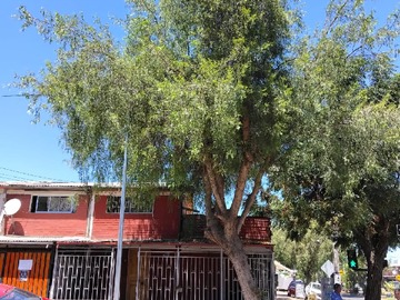Casa en venta en Propiedad Comercial a la Venta en Topocalma, Comuna Renca - 2 dormitorios, 1 baño