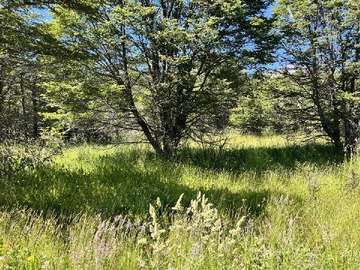Parcela en venta en Hacienda Alta Vista, Coyhaique