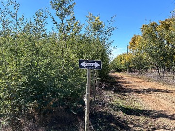 Terreno en venta en Oportunidad parcela 5.000 mts (93879), Chillán Viejo