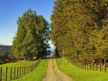 Terreno en venta en Parcelas en Entorno Natural (95540), Frutillar