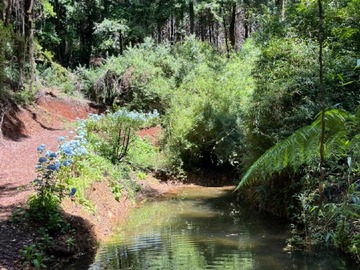 Parcela en venta en Purey s/n, Los Lagos - 3 dormitorios, 2 baños