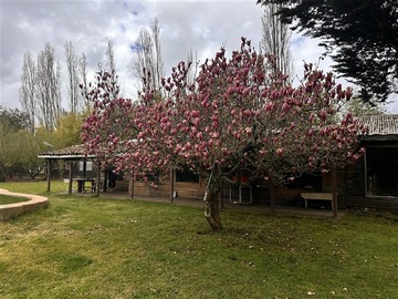 Parcela en venta en Hermosa parcel productiba sector puente ñuble, Chillán