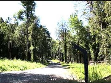 Terreno en venta en Parcela con bosque a minutos de Puerto Varas! (157576), Puerto Varas