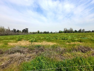 Terreno en venta en ParcelaUrbano – Camino San José, Chicureo (171420), Colina