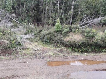 Sitio en venta en Quellon - isla cailin, Quellón