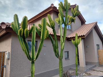Casa en venta en Tu Hogar Ideal con Excelente Conectividad (171297), Colina - 3 dormitorios, 3 baños