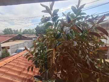 Casa en venta en Oportunidad para familias (164980), Estación Central - 2 dormitorios, 2 baños