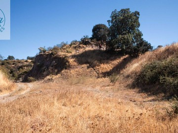 Venta / Terreno / Curicó