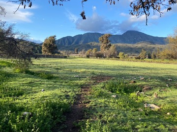 Parcela en venta en Sector las palmas de ocoa, Hijuelas - 3 dormitorios, 2 baños
