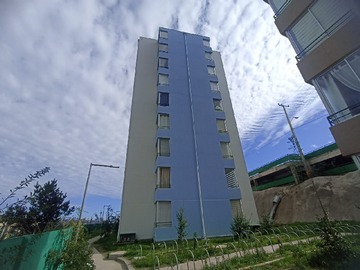 Departamento en arriendo mensual en Calle Jorge Ross N° 975, Viña del Mar - 3 dormitorios, 1 baño