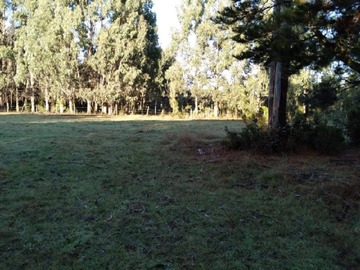 Venta / Parcela / Llanquihue
