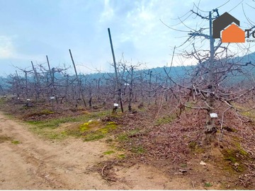 Terreno Agricola en venta en Increíble Campo San Fernando Cerezas (171674), San Fernando