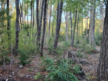 Parcela en venta en La Puntilla de San Juan / Coihueco, Coihueco