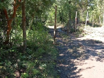 Parcela en venta en fundo los laureles, Longaví