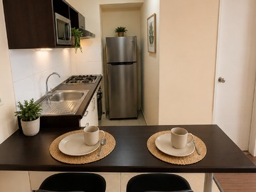 Arriendo Mensual / Departamento / Santiago