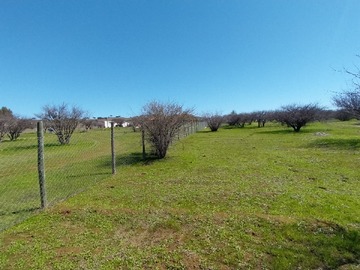 Parcela en venta en Parcela 5000 M2 Sector Mallermo Ruta 90 Hacia Pichilemu
