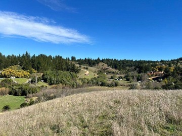 Terreno en venta en Parcela de 2.5 hectareas en yumbel rere (117044), Yumbel