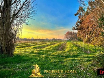 Terreno en venta en Terreno 4 Ha en Angol con Gran Potencial (173360), Angol
